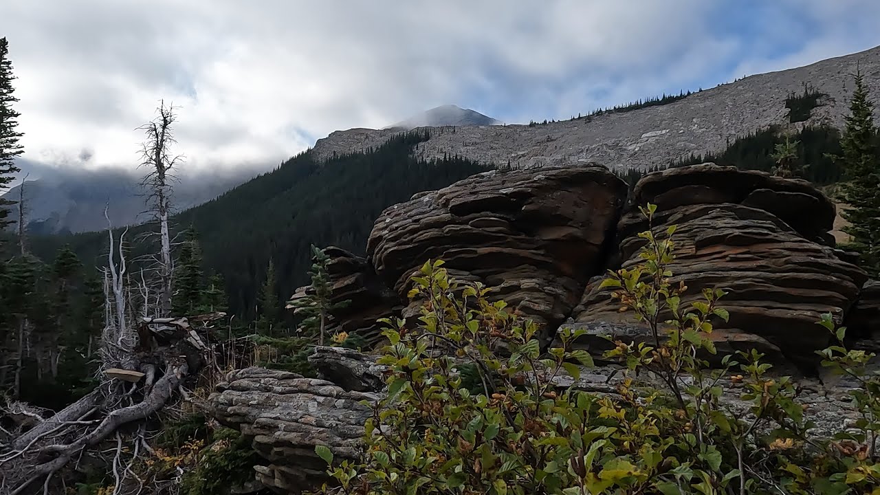 Video 4 Alder magedon  Boundary peak trail   75 clean up  kananaskis
