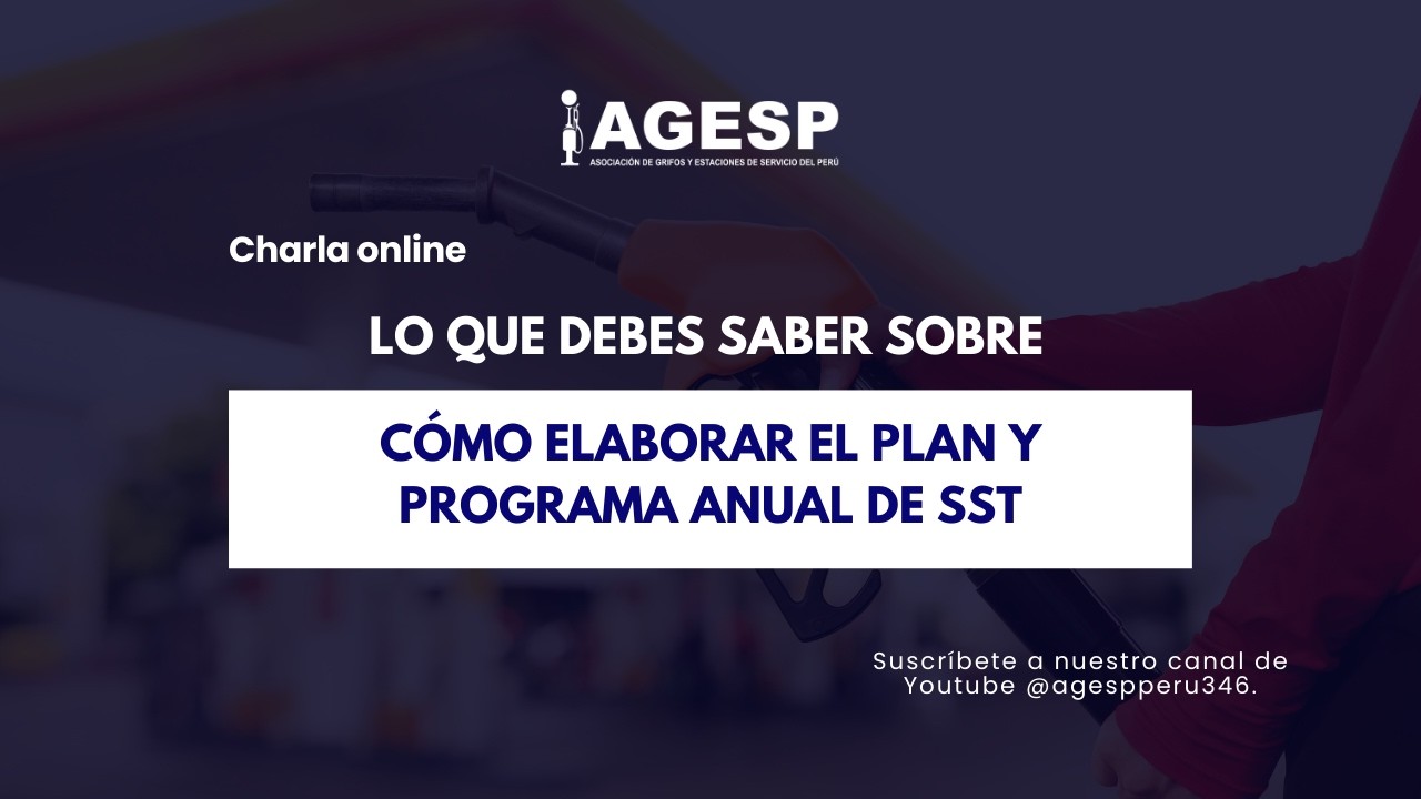 Charla Online: Cómo elaborar el Plan y Programa Anual de SST