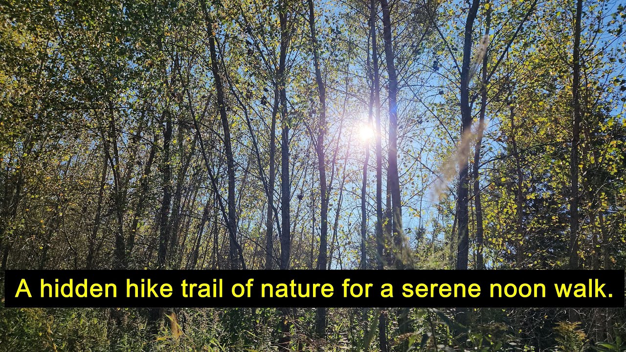 Hiking near W Evergreen Drive