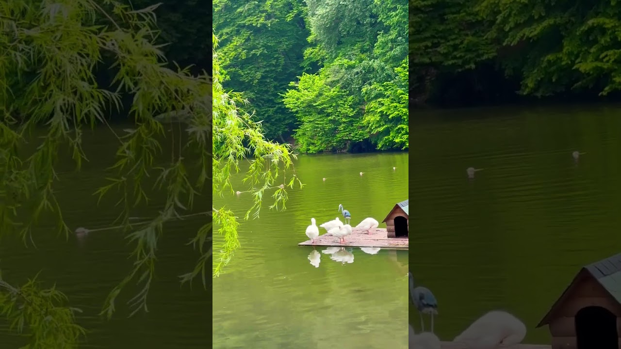 горное озеро Парз😍Пишите для туров по Армении🤗Tours in Armenia🤗