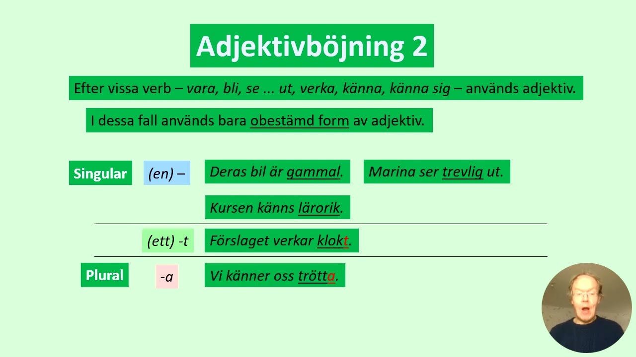 Adjektivböjning 2