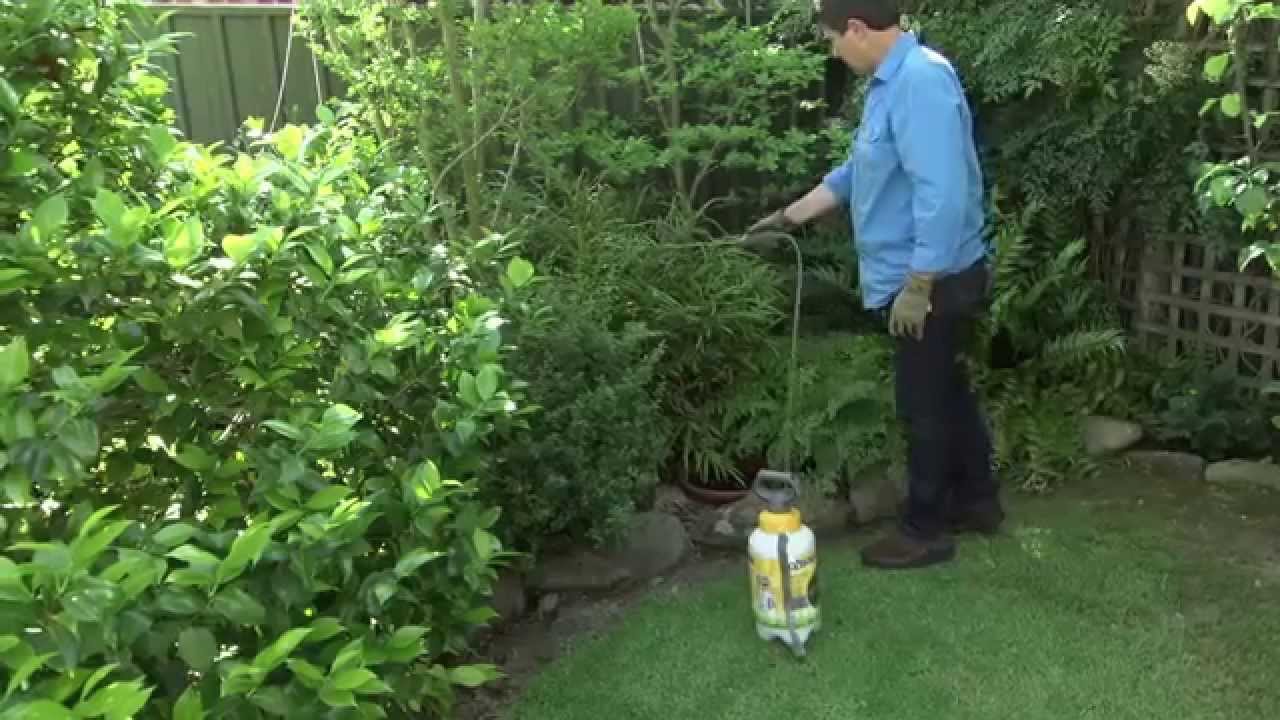 Hozelock Garden sprayers - In the Garden