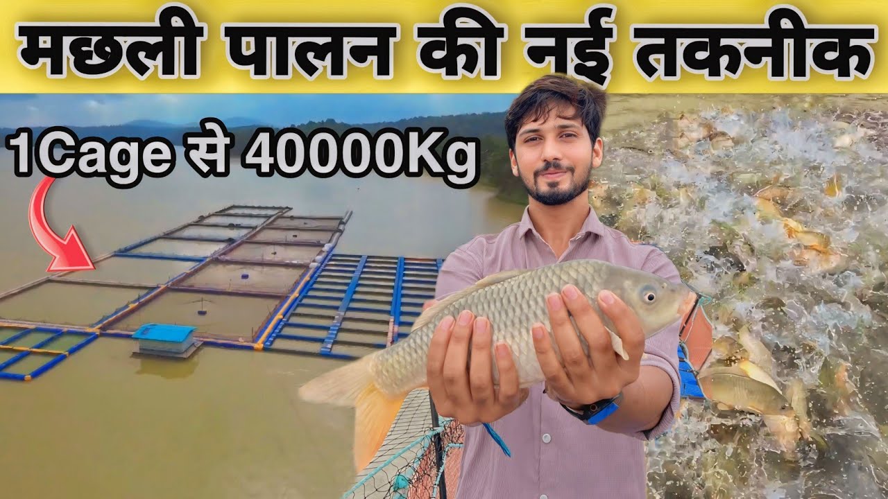 मछली पालन की नई तकनीक । भारत का सबसे पहला Cage Culture जिसमें IMC Fish farming होती हैं।