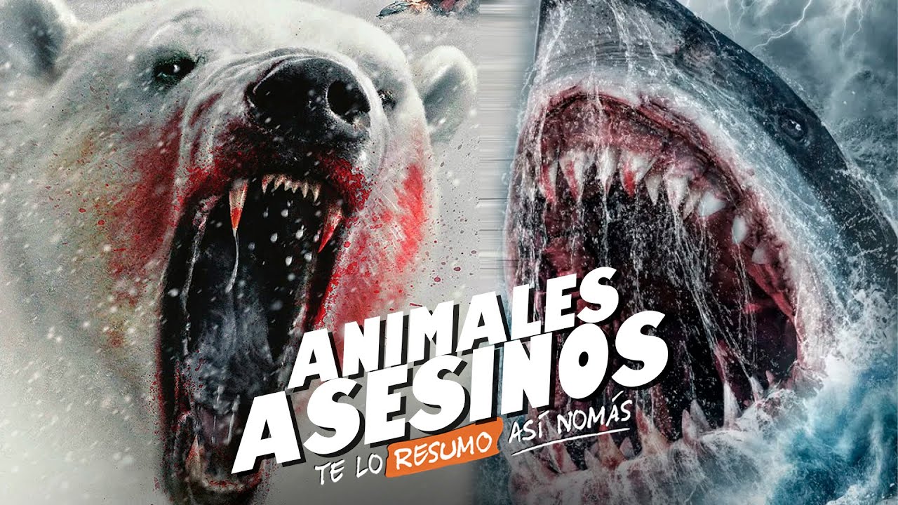 ¿Cómo Evoluciono El Cine De ANIMALES ASESINOS? | #TeLoResumo