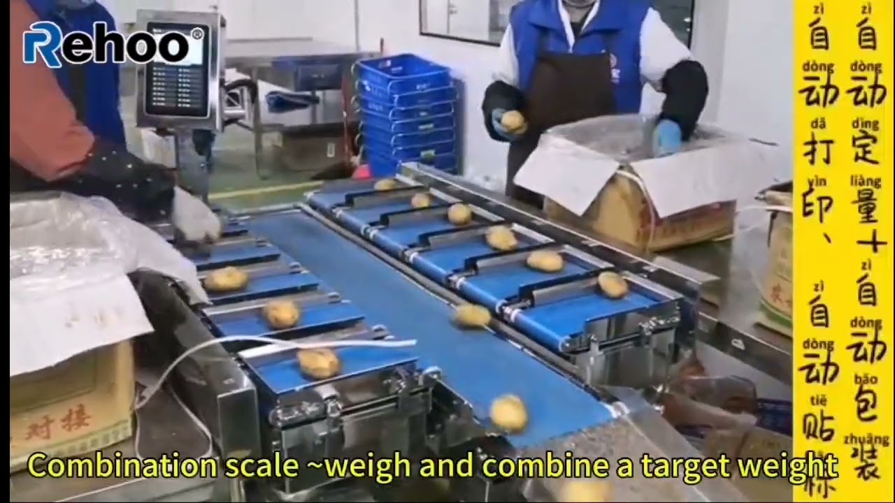 Rehoo combination weigher /scale on potato/vegetable products