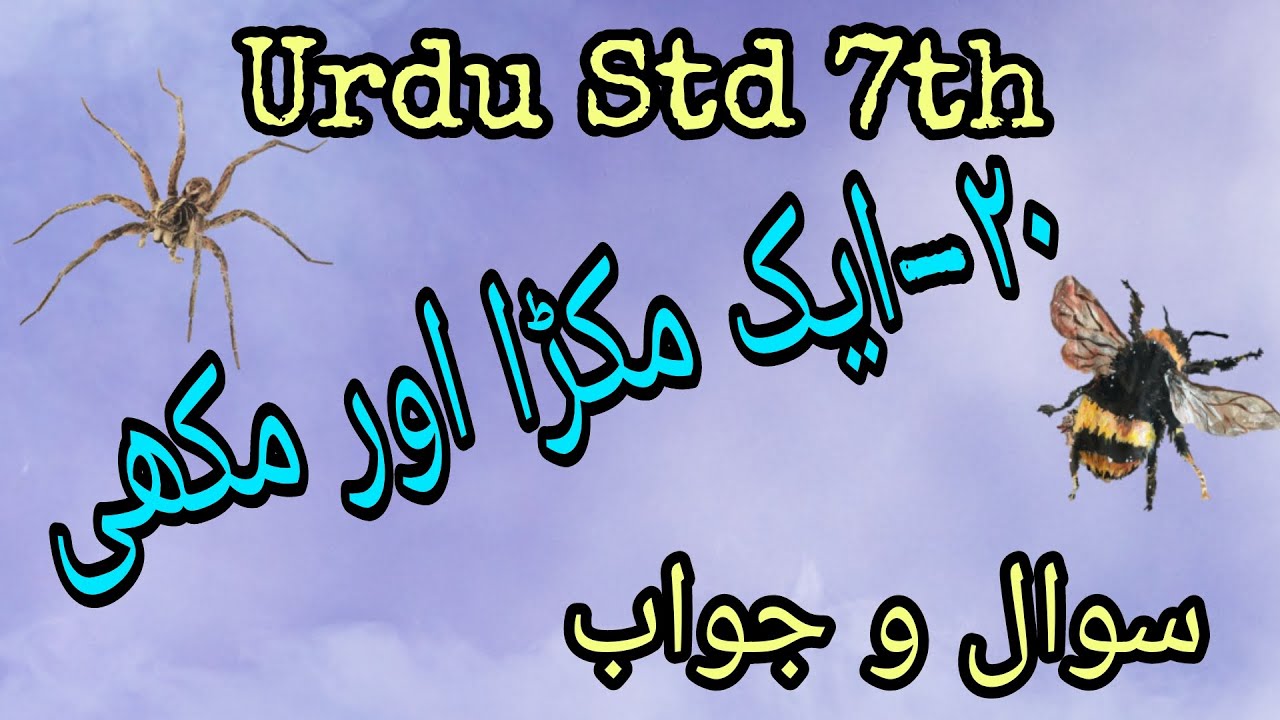 Urdu Medium | URDU | Std. 7th | Chapter 20 - ایک مکڑا اور مکھی | Sawal Jawab | Ek Makda aur Makkhi