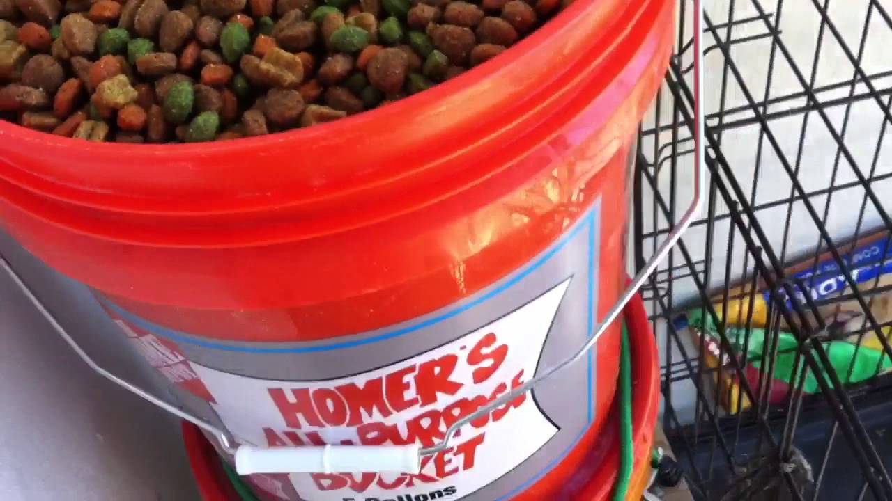 DIY self-filling dog food feeder and automatic watering sys