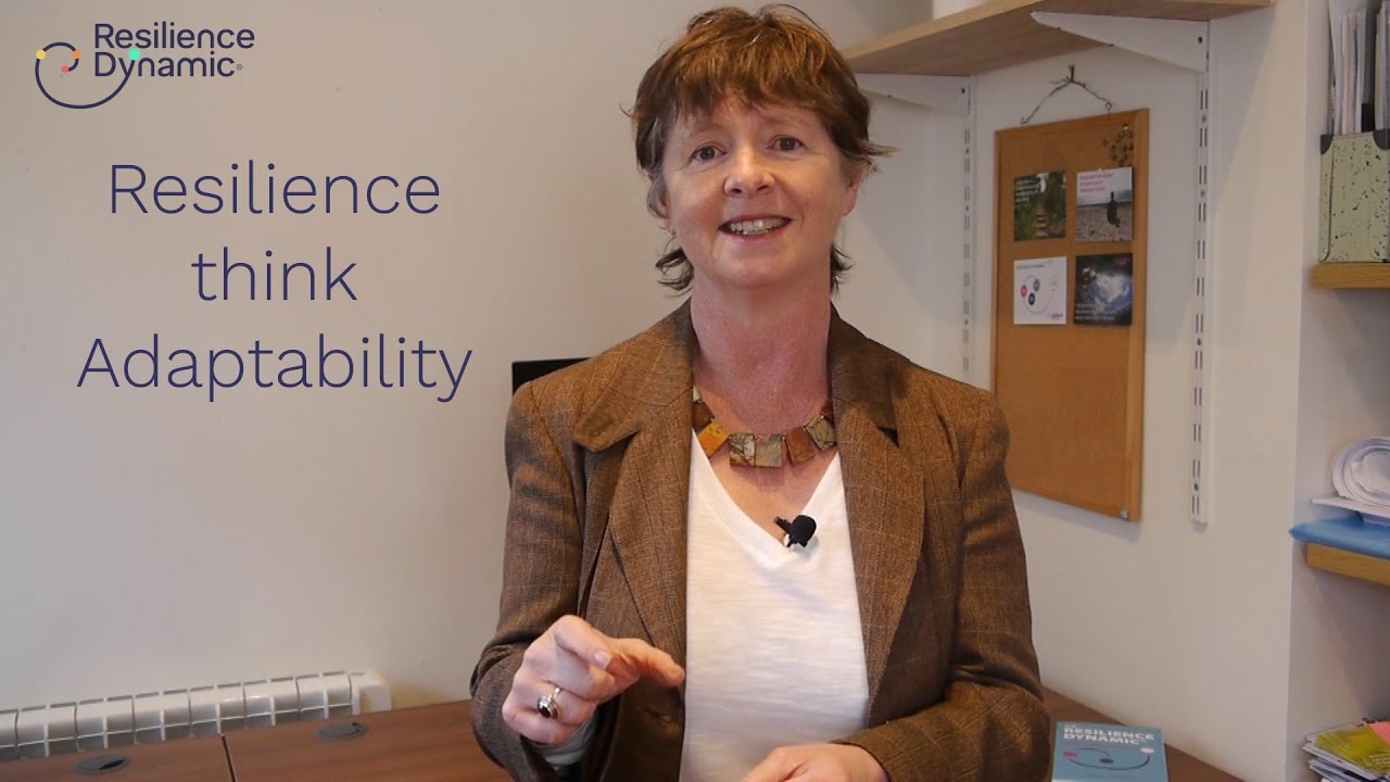Resilience Dynamic - Renaming Resilience As Adaptability