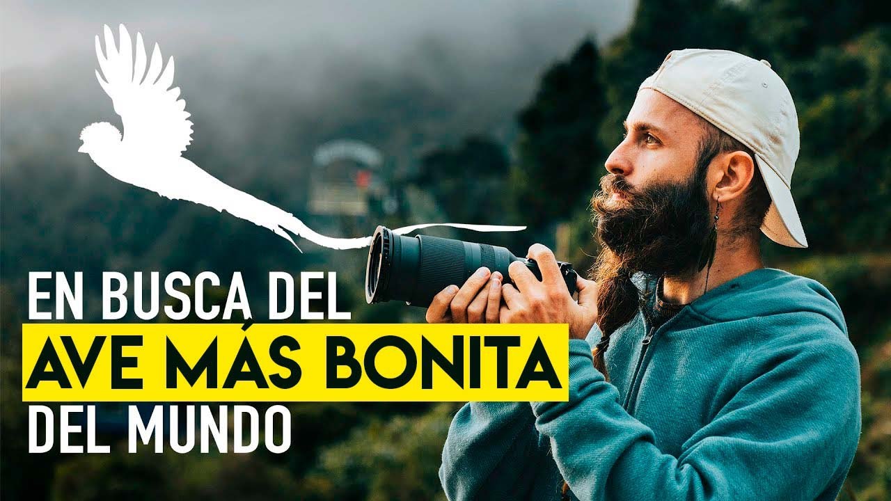 Llegamos al CERRO DE LA MUERTE para fotografiar quetzales