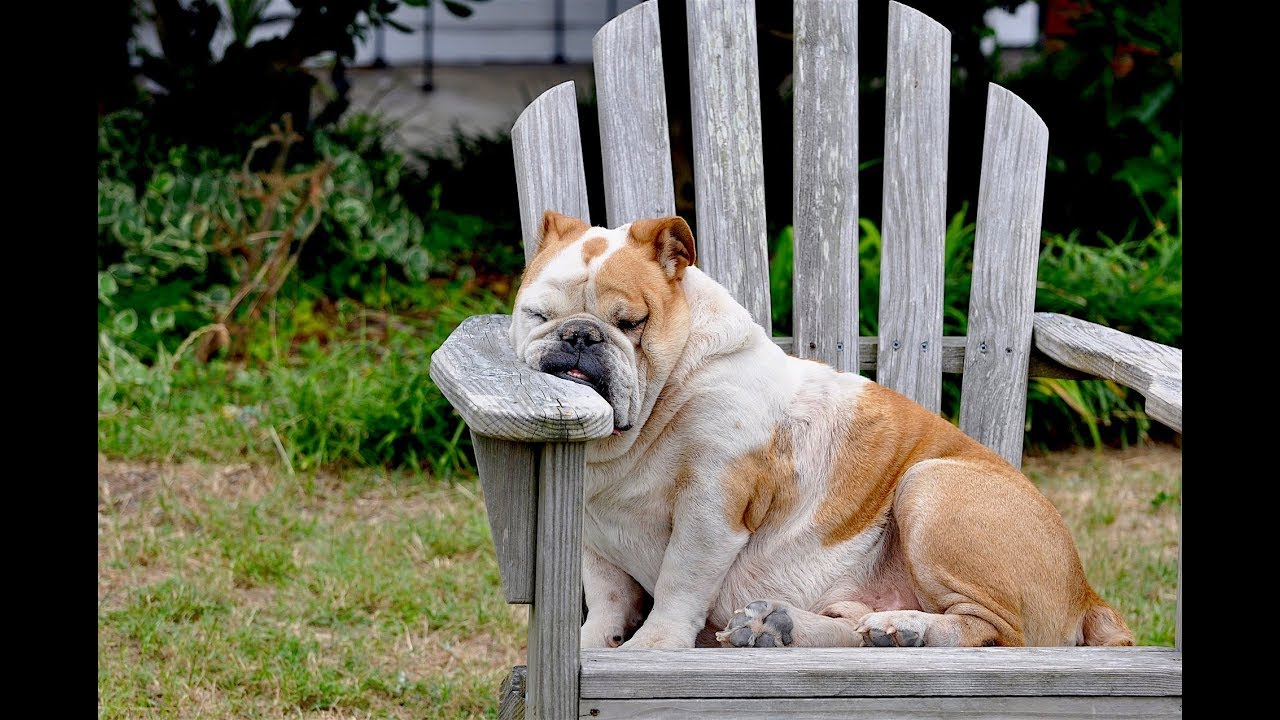 What causes listener fatigue?