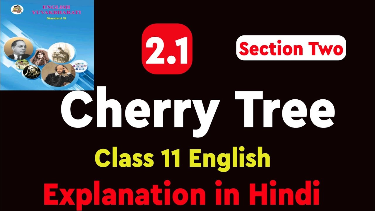 2.1 Cherry Tree | Class 11 English Yuvakbharati | explanation in Hindi