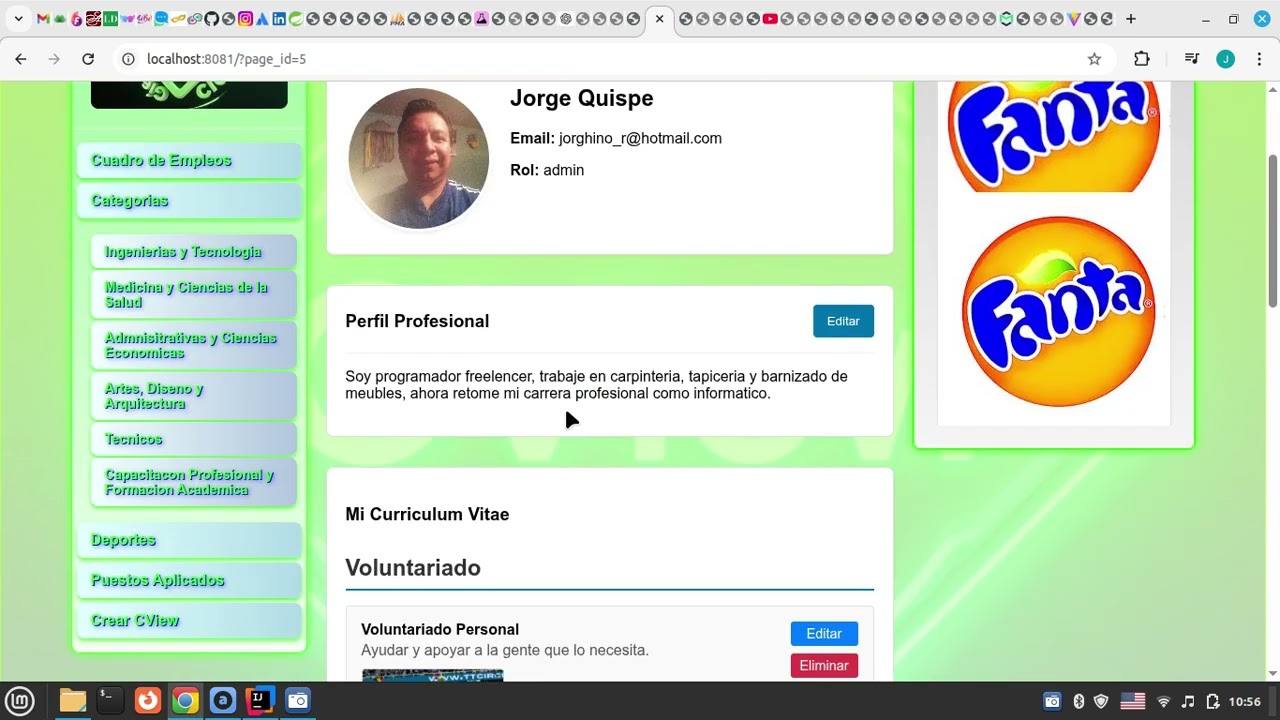 CView, Curriculum Vitae Interactivo de Empleos en la Web, filament, Postgres, Wordpress.