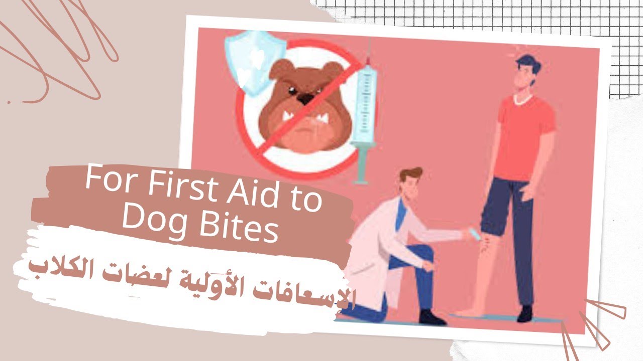 الإسعافات الأولية لعضات الكلاب| First Aid to Dog Bites