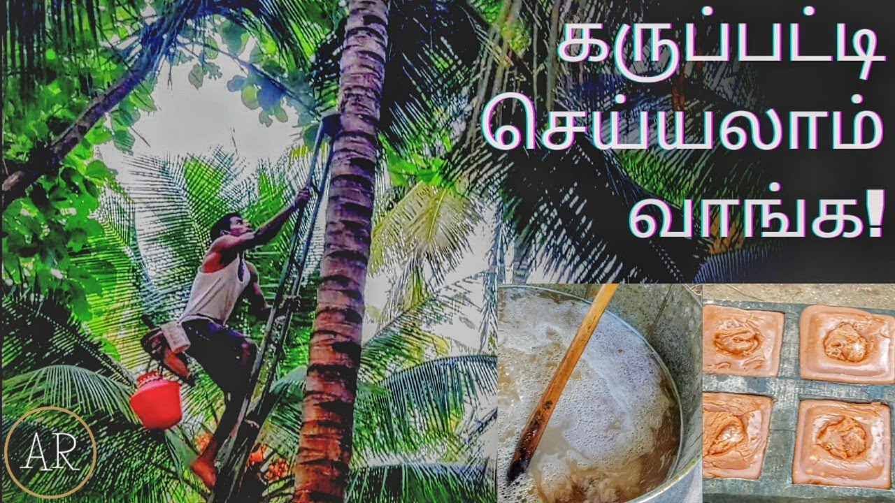 தென்னை கருப்பட்டி தயாரிக்கும் முறை|| Documentary of Coconut 🥥 Jaggery making process in Tamil