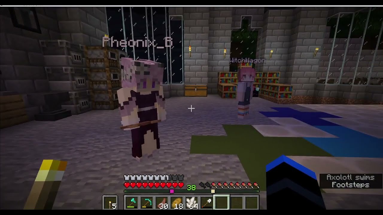 Nether Fun (NSMP Day 3) [Complete VOD Stream 2]