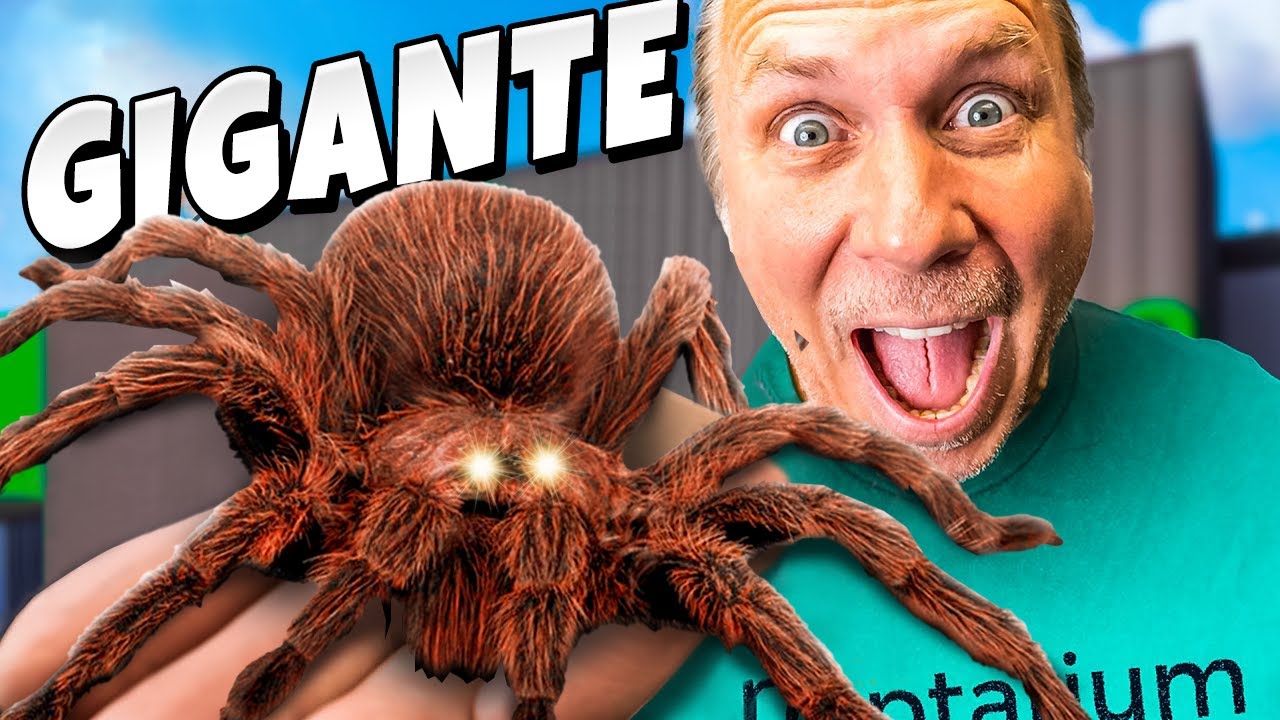 ¡Peligro! ¡Manipulando a la araña más grande del mundo!
