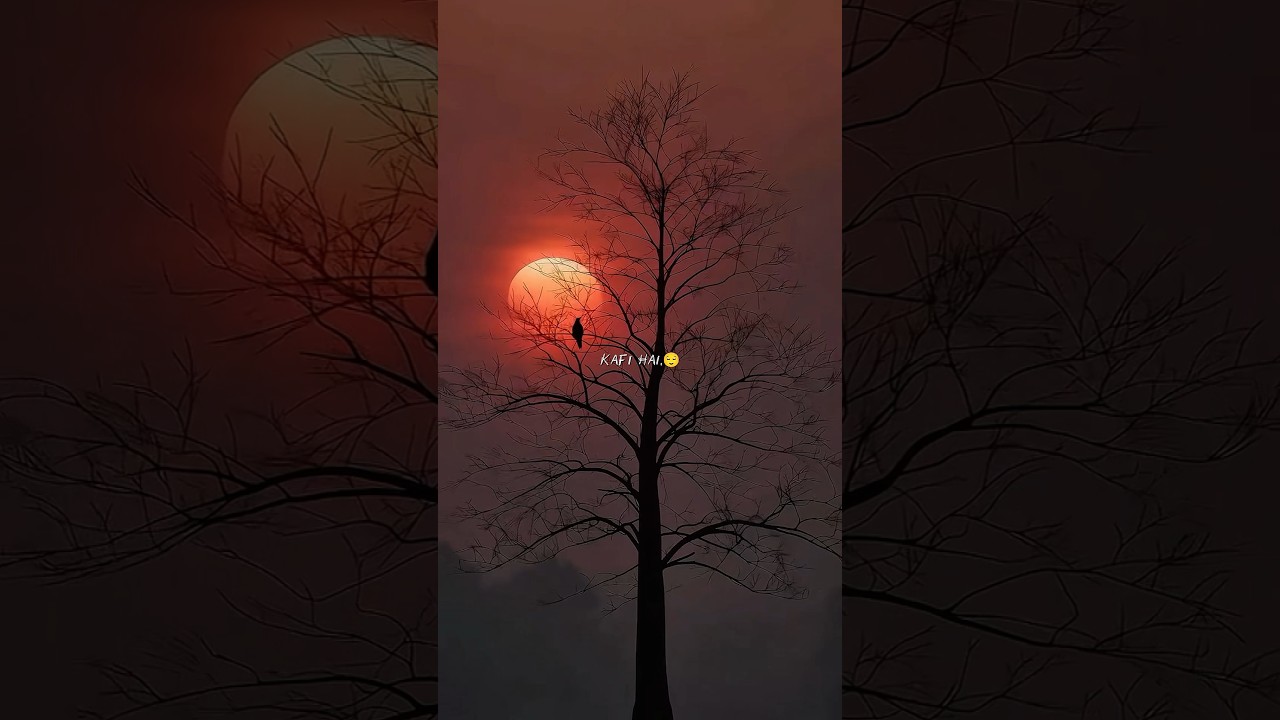 Daulat Shohrat Kya Karni,💫❤️   ||(Lyrics video)