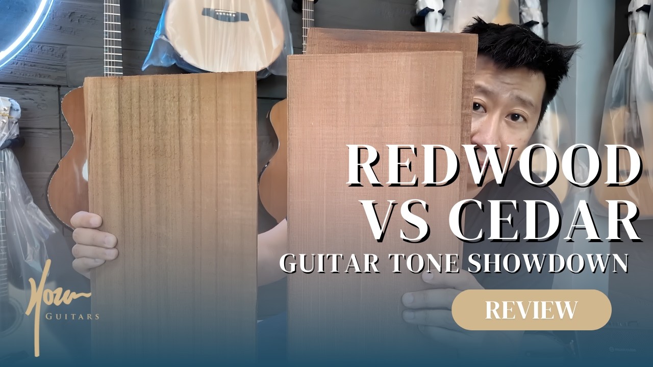 Hozen Guitars | Redwood vs Red Cedar: Which Tonewood Suits Your Guitar?