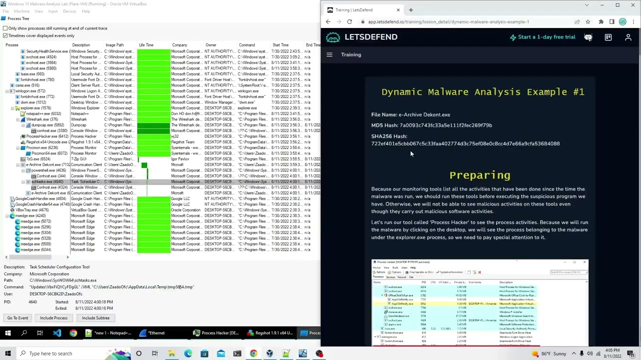 Dynamic Malware Analysis