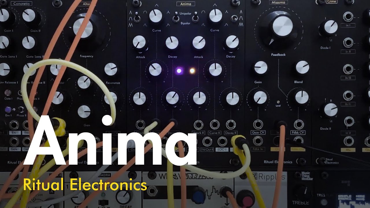 Ritual Electronics - Anima - AD, ASR, LFO, Digital Oscillator