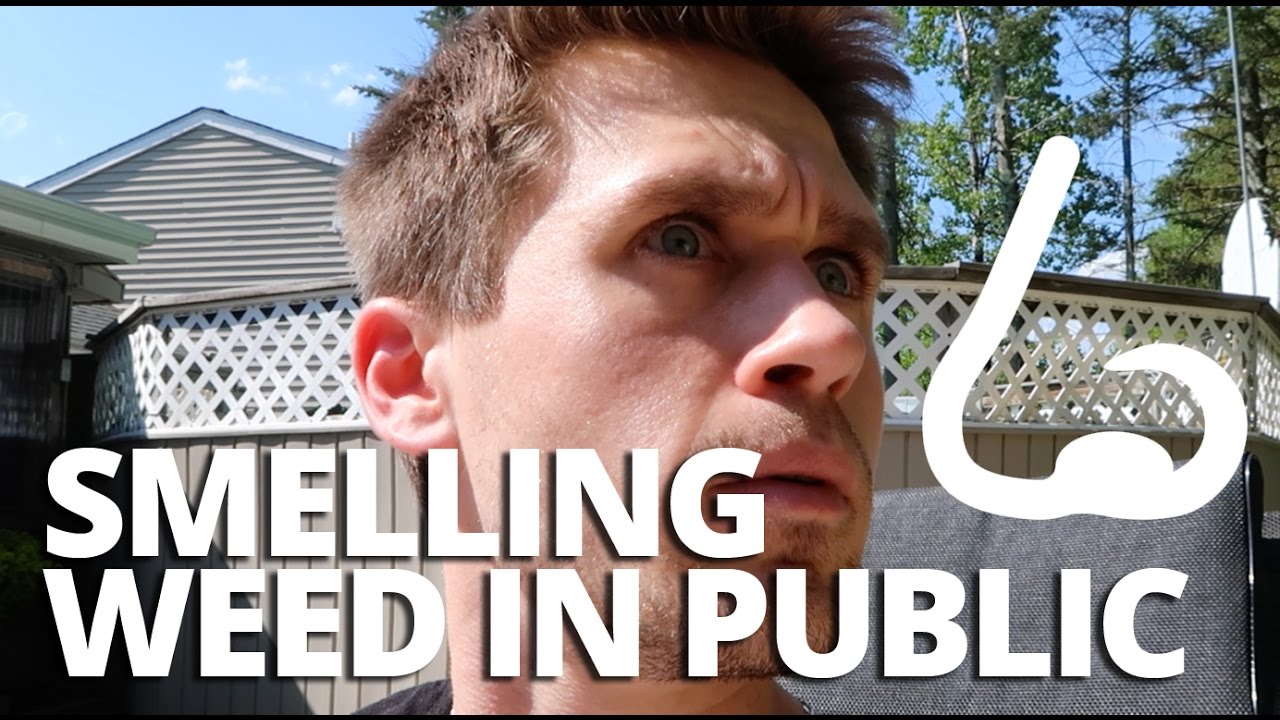 SMELLING WEED IN PUBLIC
