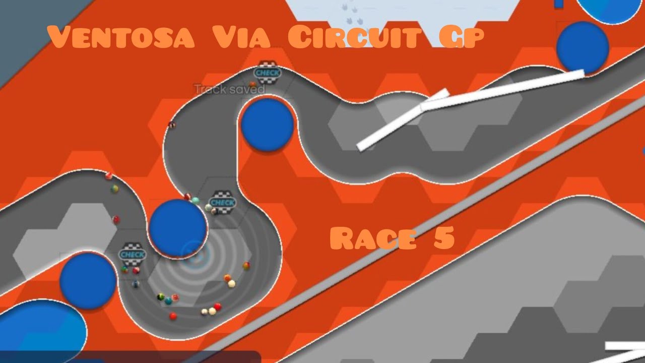 WGP Marbula division-Race 5-Marble Race Creator
