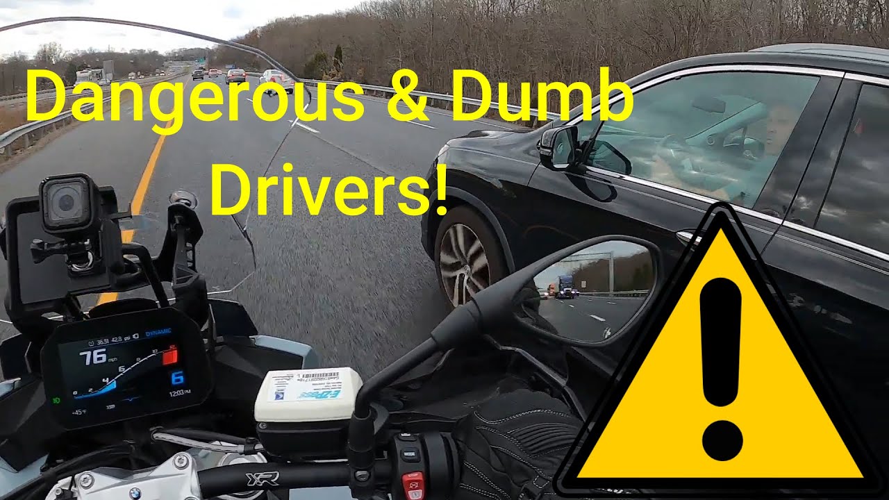 Dangerous and Dumb Drivers
