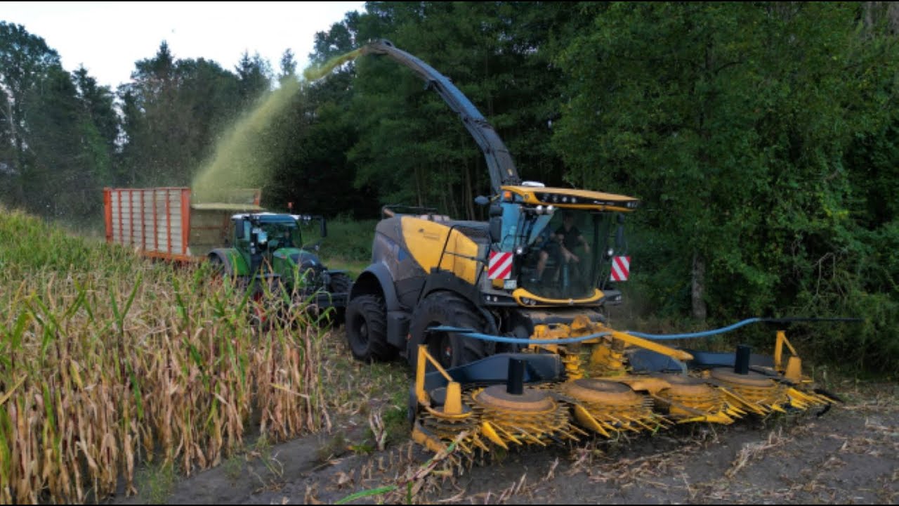 Maishäckseln 2022 mit einem New Holland FR650 / JCB Radlader auf dem Silo und mehreren Abfahrern