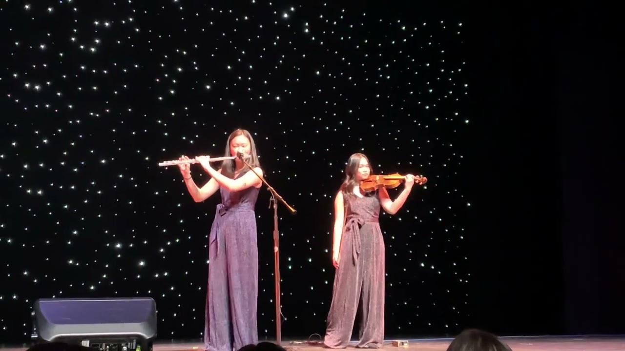 Beethoven Virus-Flute and Violin Duet