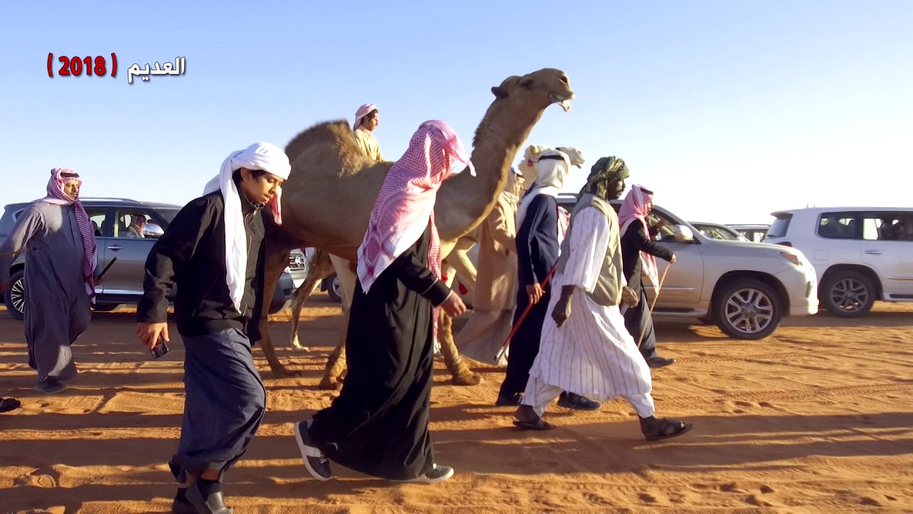 فحل فايز بن دهيمان السبيعي