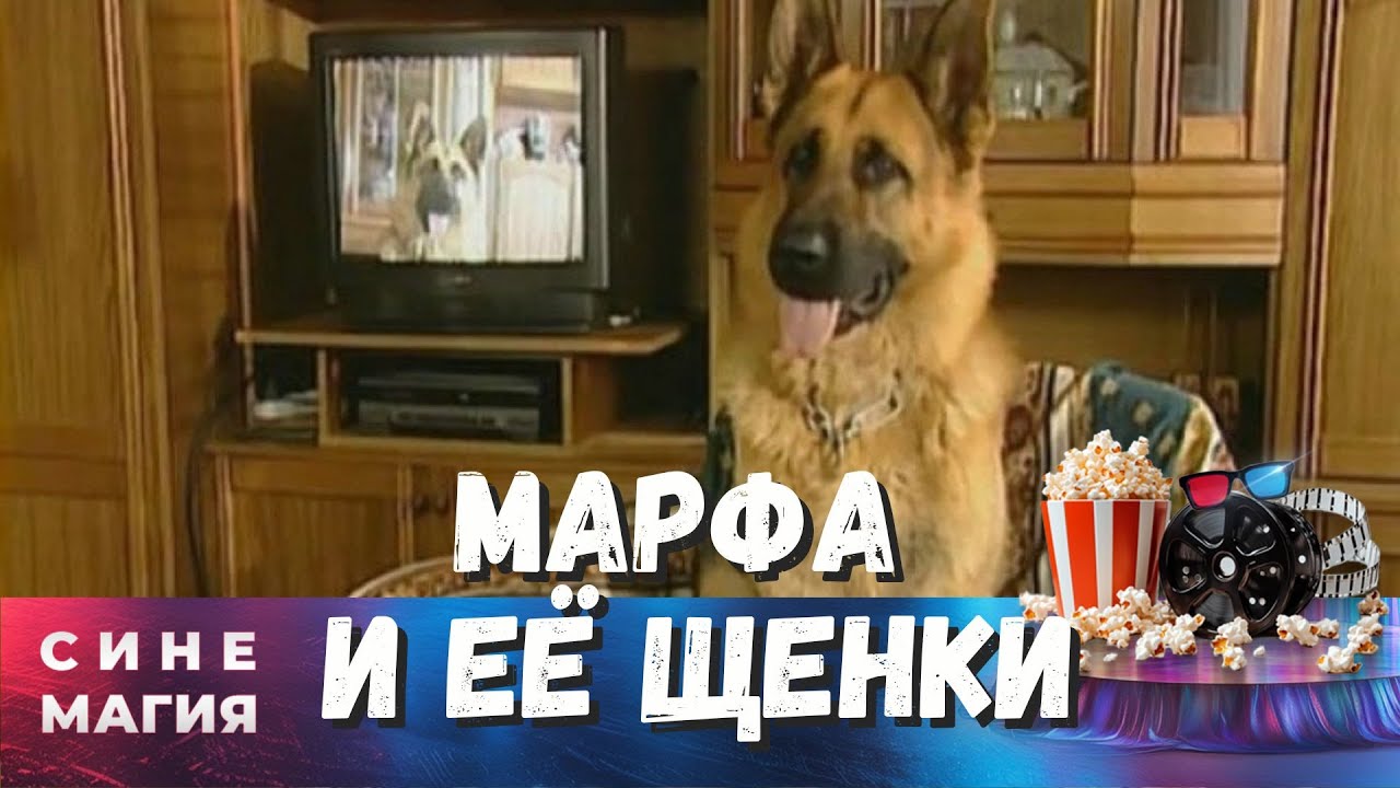 Семь щенков овчарки Марфы находят разных хозяев и судьбы! МАРФА И ЕЁ ЩЕНКИ (2005)