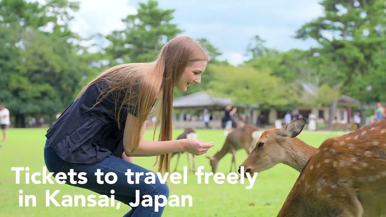 Travel to Nara and Mie with Kintetsu Rail Pass