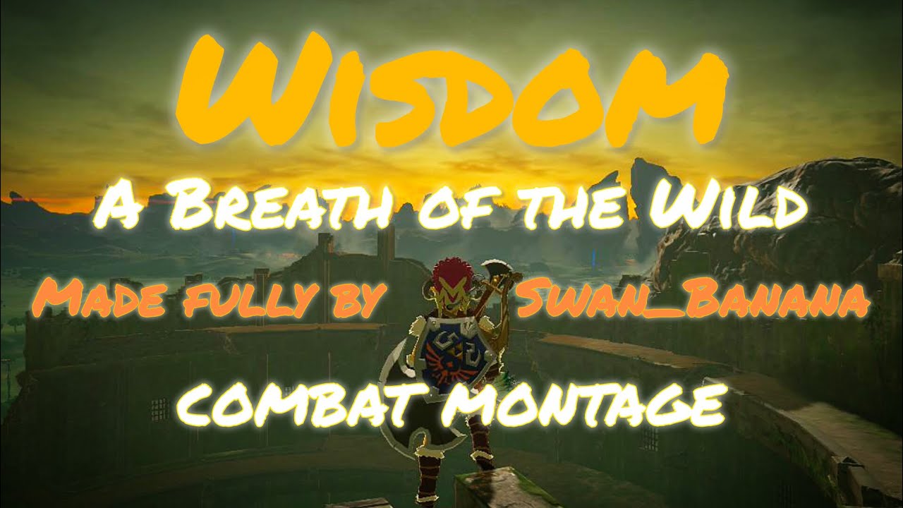Wisdom - A Cinematic BotW Combat Montage