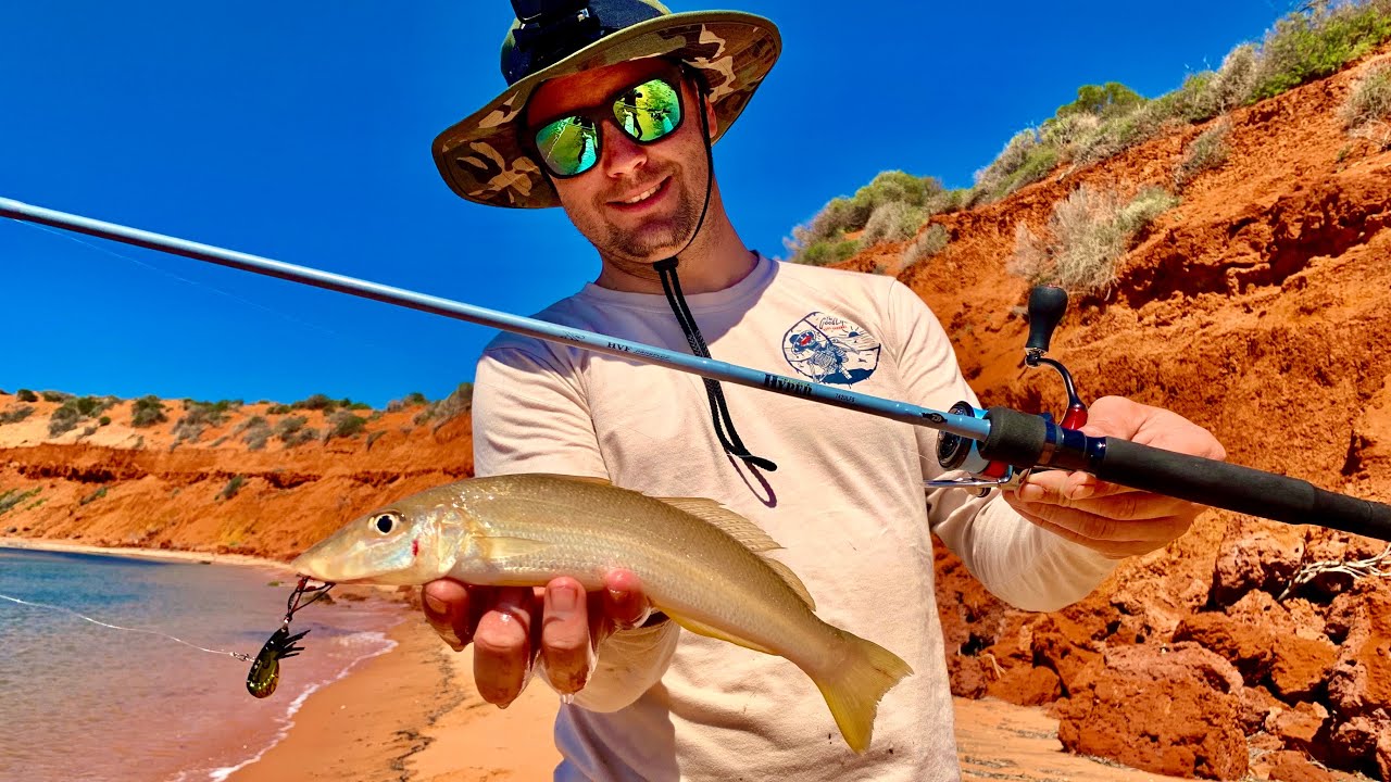 Whiting On Lures