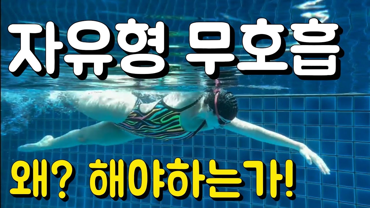 자유형 무호흡을 해야하는 이유(초급 / 중급 / 상급)