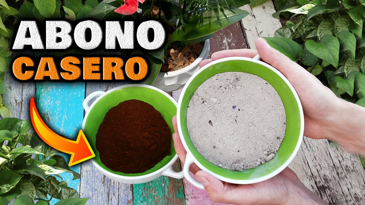 ABONO CASERO MÁGICO! Con SOLO 2 Ingredientes Más FLORACIÓN y Muchos FRUTOS | Fertilizante Casero