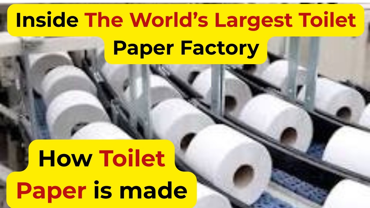 How Toilet Paper is Made