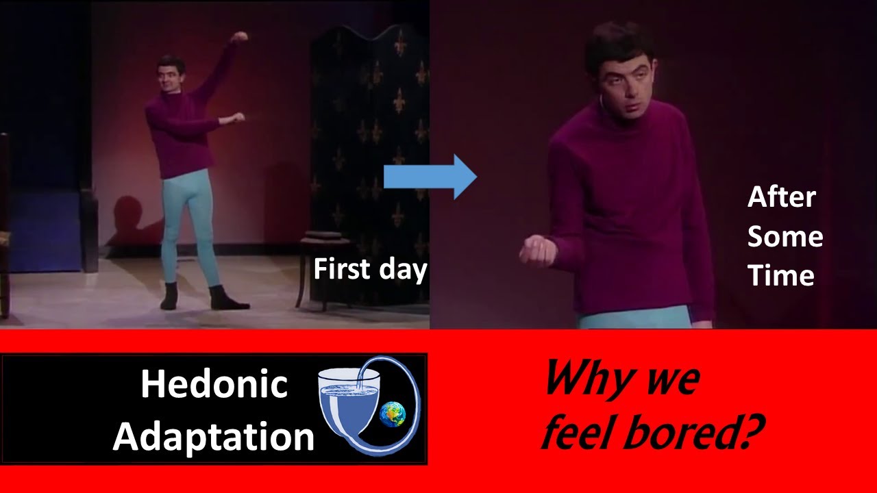 Hedonic adaptation/ Why we feel bored