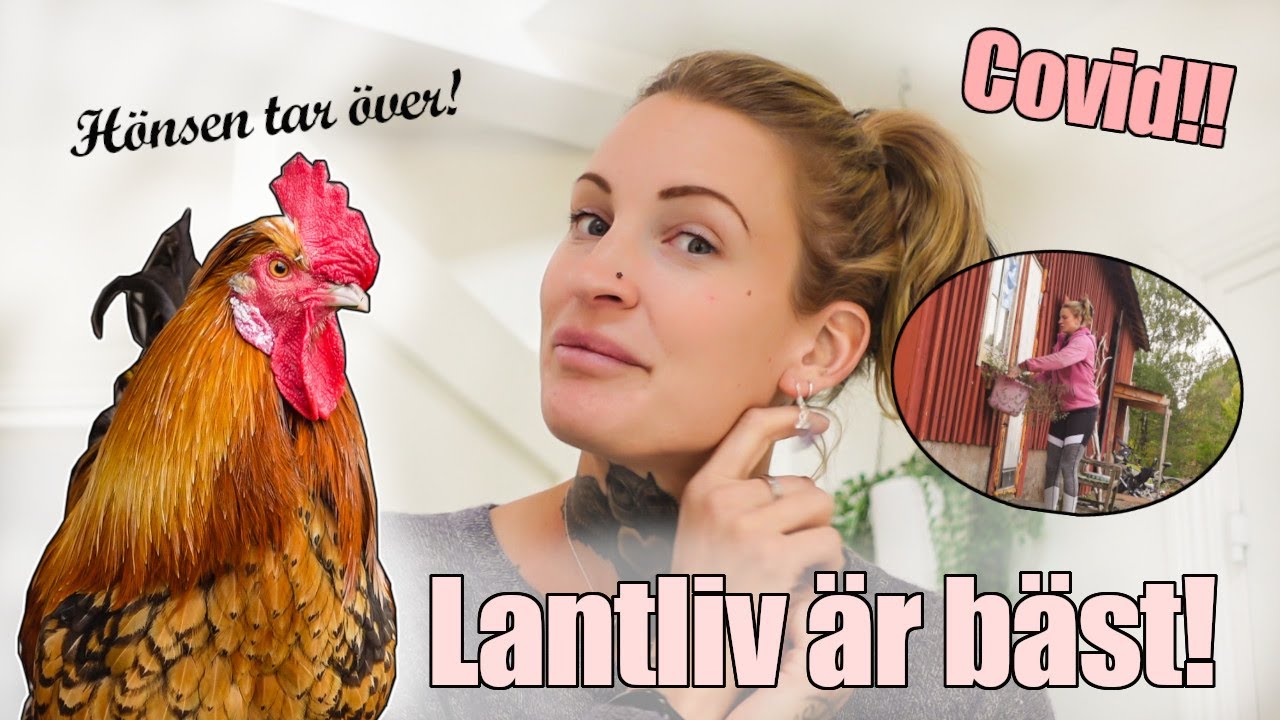 Dom är ÖVERALLT || Vlogg