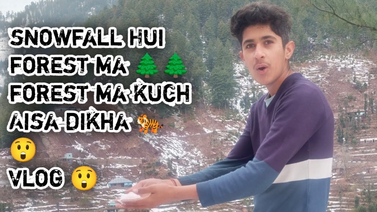  जंगल Ma Kuch Aisa dikha 🐅😲 vlog 