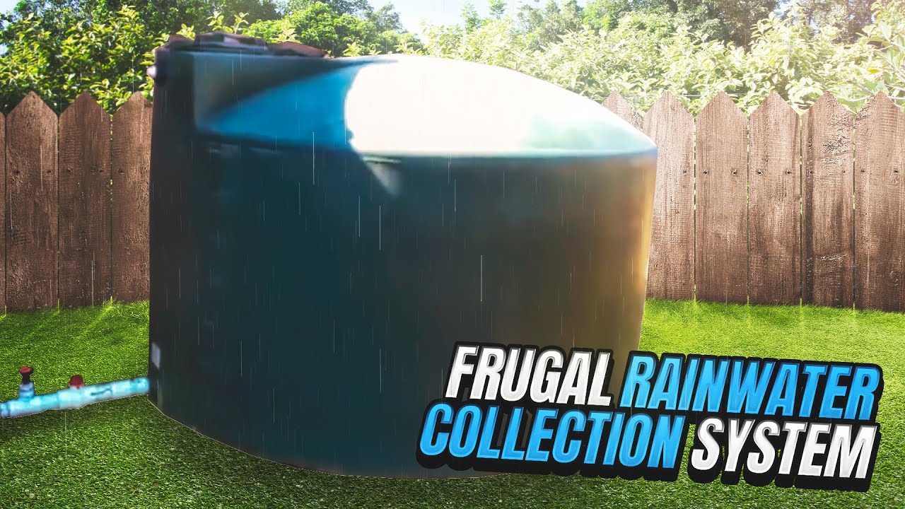 Easy Frugal DIY Rainwater Collection,  🤔Harvesting