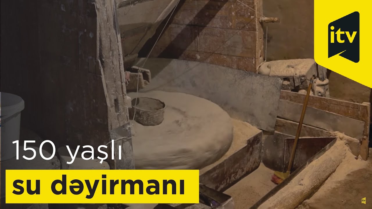 Şadılı kəndindəki 150 yaşlı su dəyirmanında buğda üyütdük...