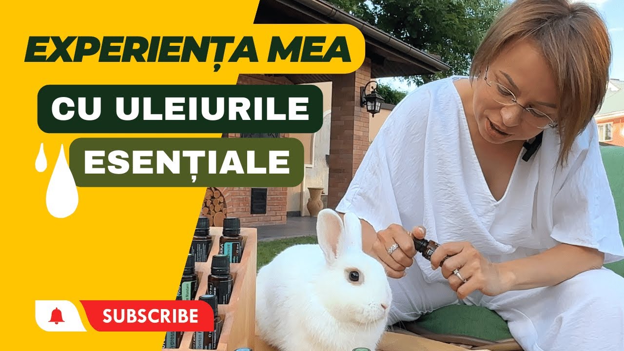 Experienta mea cu uleiurile esentiale. Rezumatul celor 20 de ani de cautari.