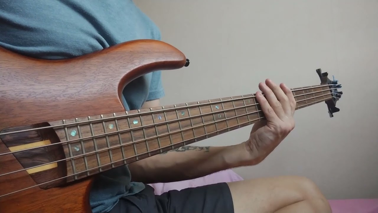 Yannick Noah - J'aurai dû comprendre (bass cover)