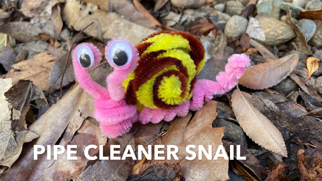 Pipe Cleaner Snail Craft