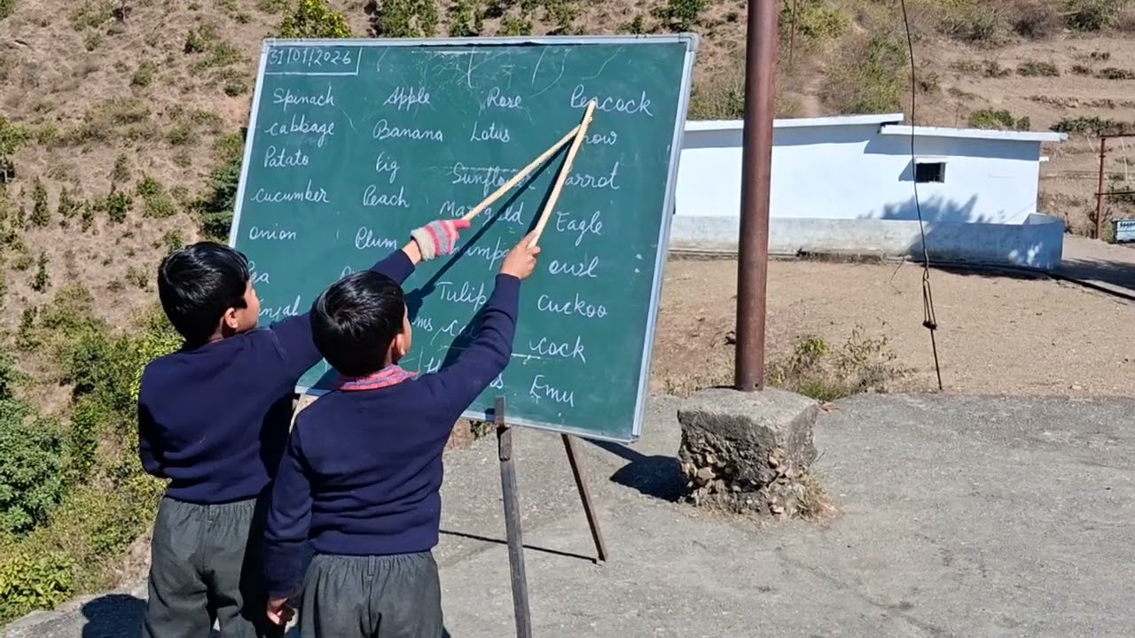 आज की गतिविधि ।