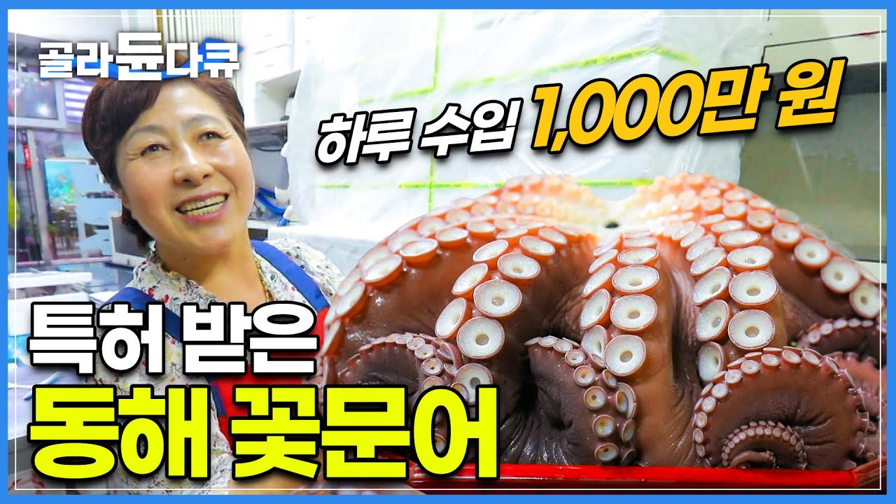 문어로 인생역전! 하루 1,000만 원 버는 묵호항 어시장의 큰손 꽃문어 사장님|30년 걸려 터득한 특허 받은 문어 삶는 법|강원 동해|한국기행|#골라듄다큐