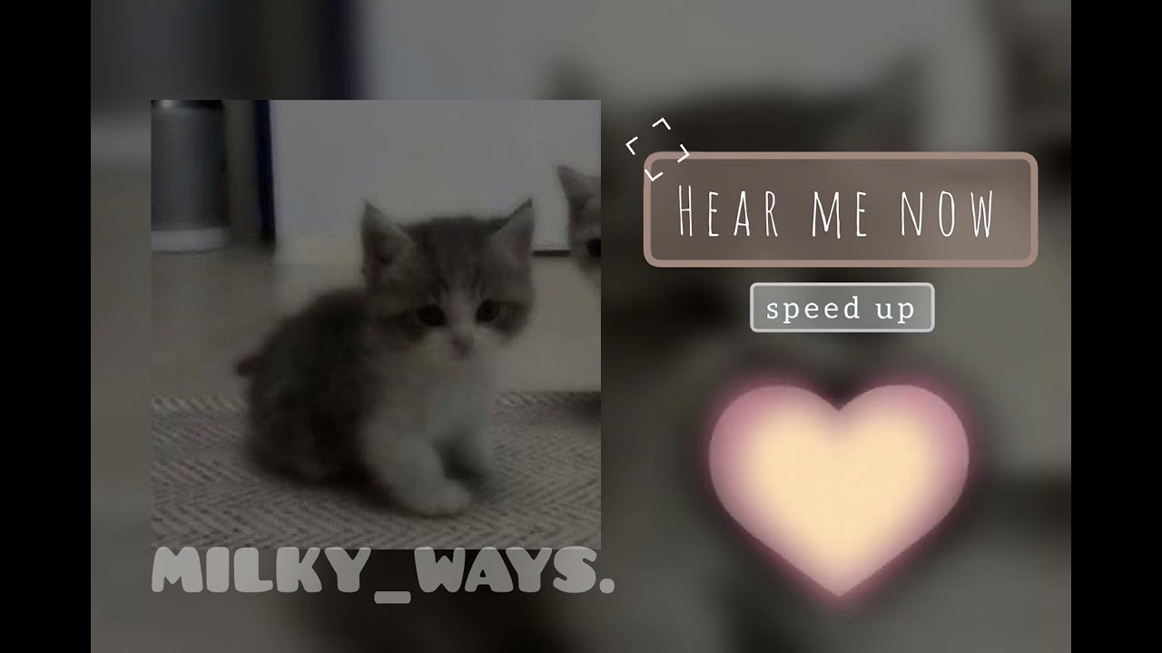 hear me now [speed up]