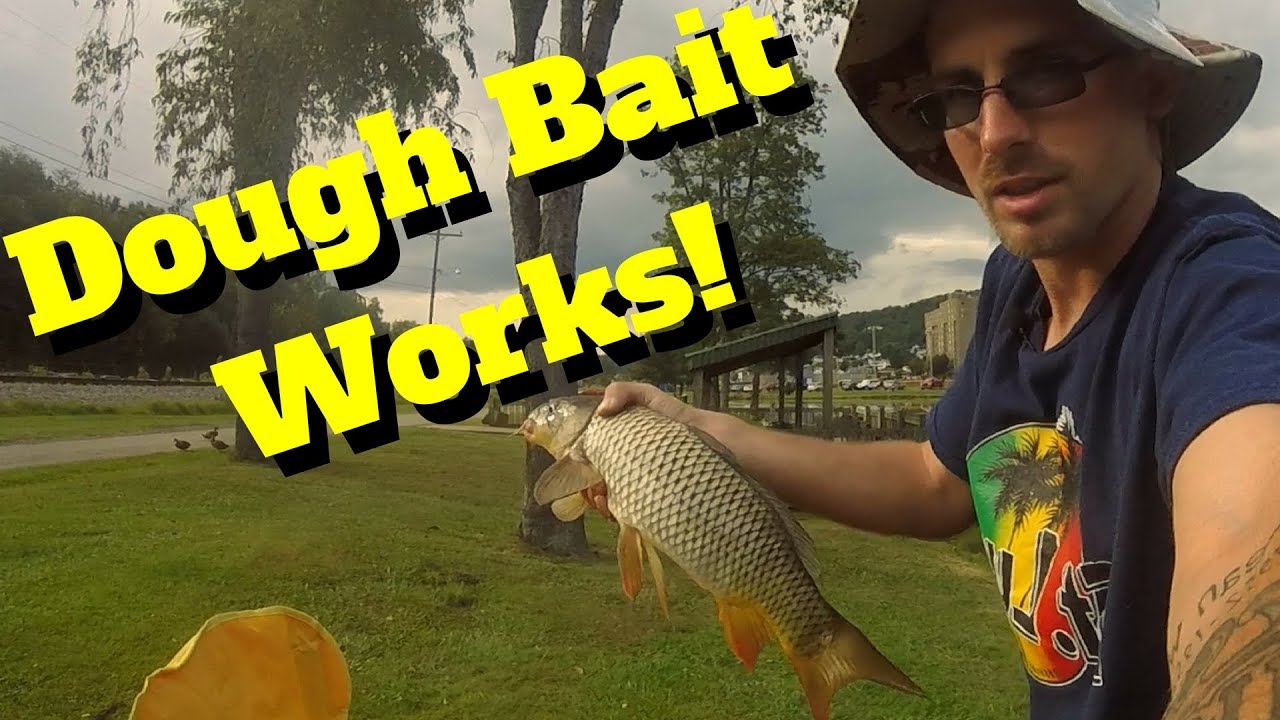 Catching Carp on homemade dough bait