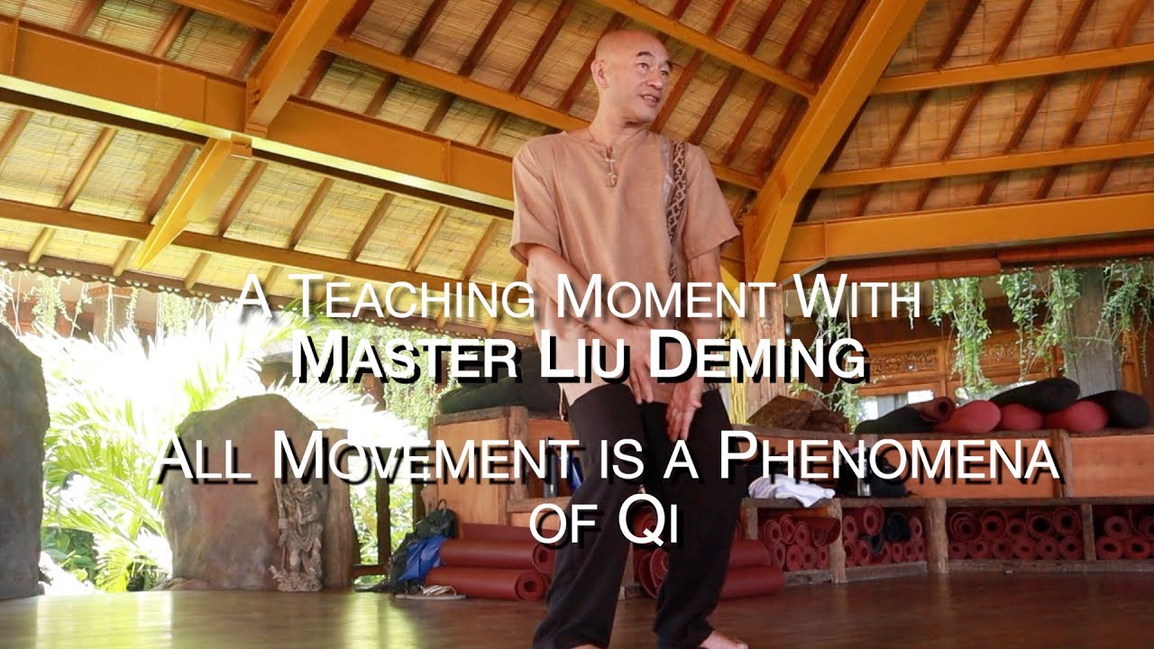 All Movement is a Phenomena of Q: A Teachng Moment with Master Liu Deming